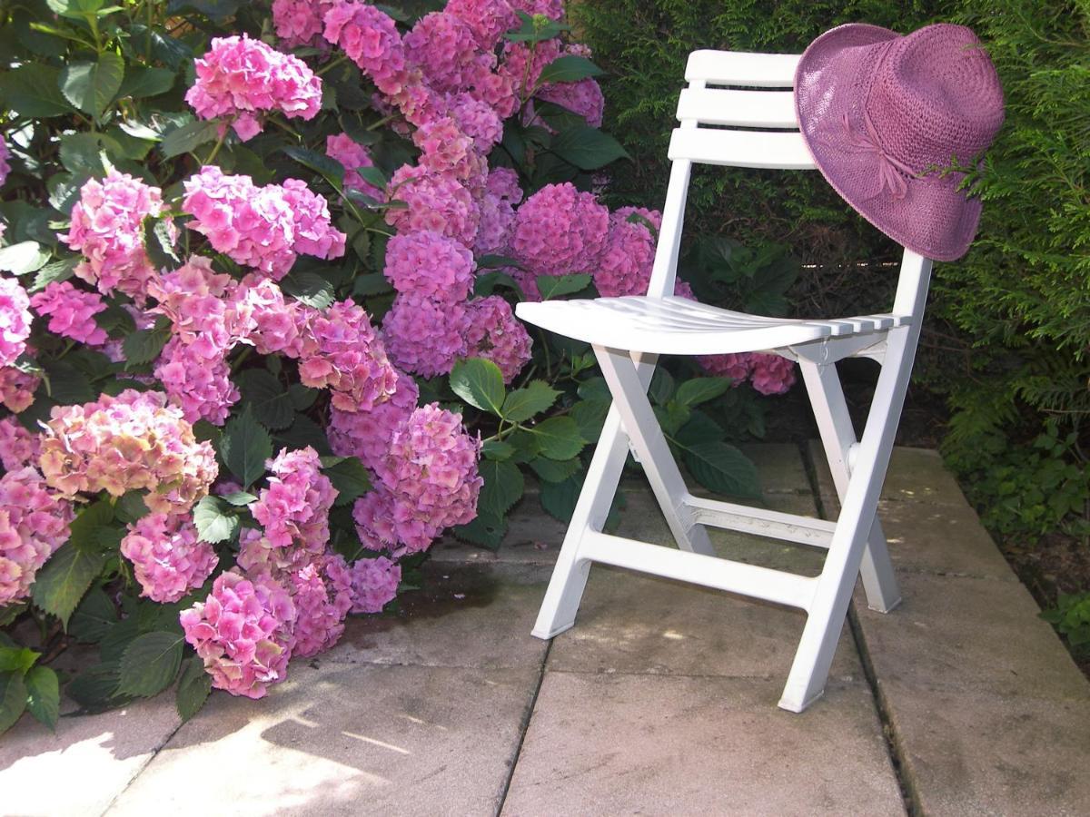 Les Hortensias แซ็งต์-มารี-โอ-มีน ภายนอก รูปภาพ