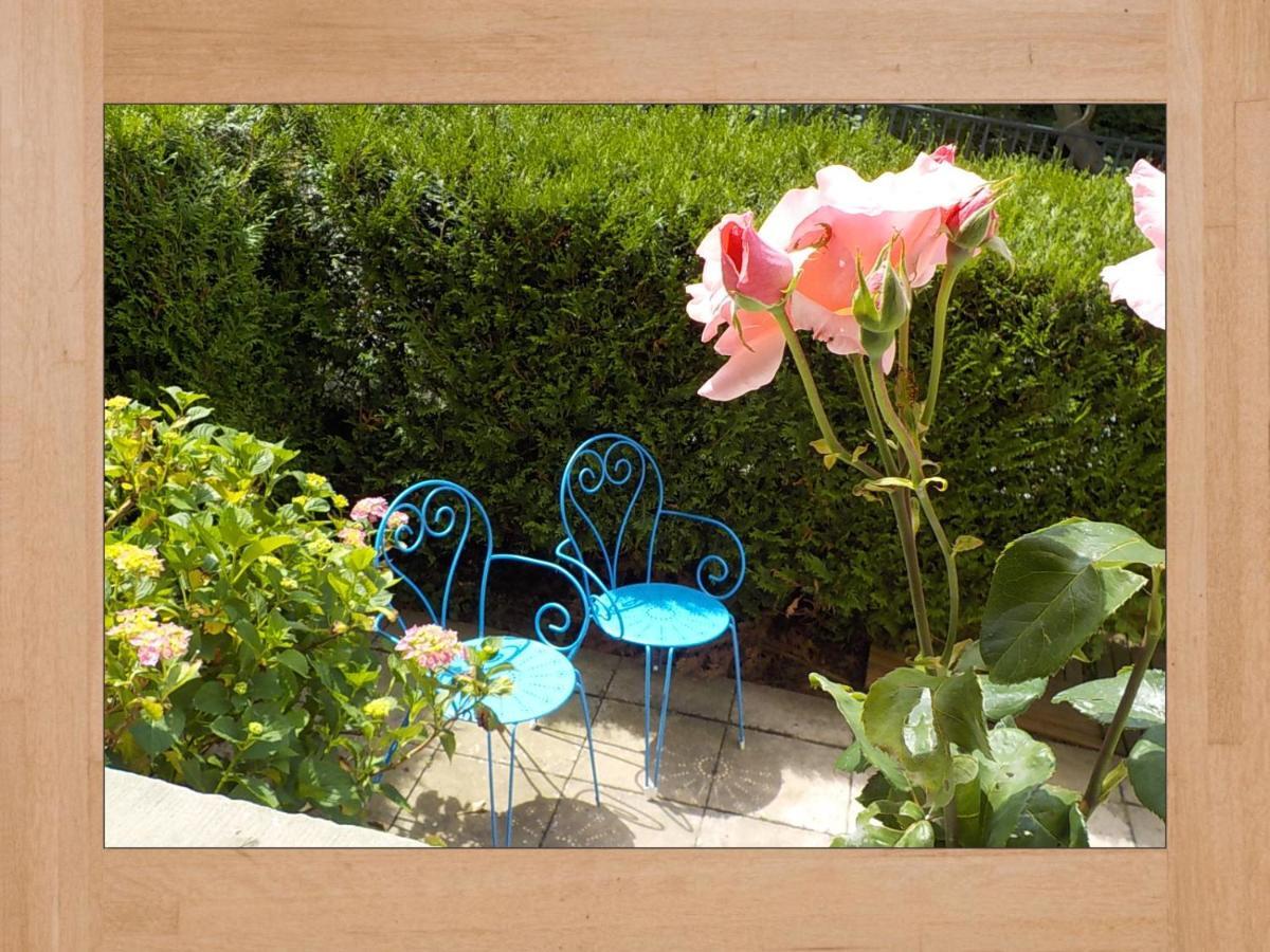 Les Hortensias แซ็งต์-มารี-โอ-มีน ภายนอก รูปภาพ